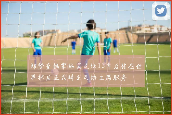 郑梦奎执掌韩国足坛13年后将在世界杯后正式辞去足协主席职务